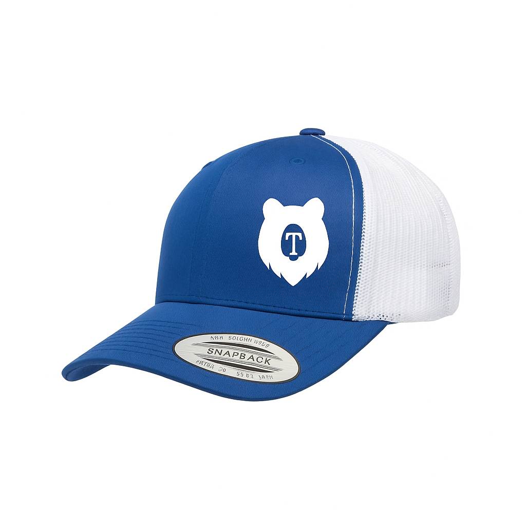 Townshend Elementary School Snap-Back Hat